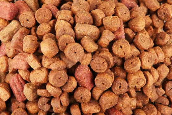 Dog Kibble Extrusion Geometry
