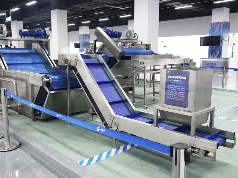 Fruit and vegetable lines processing equipment