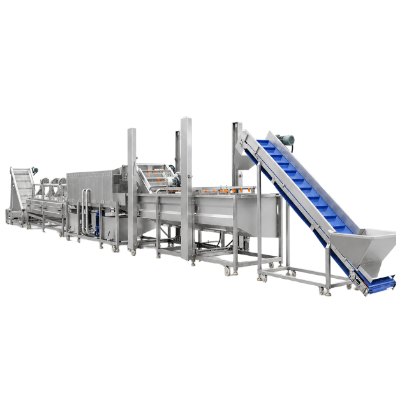 Leafy Fresh-Cut Line Processing Equipment by SHENGTU