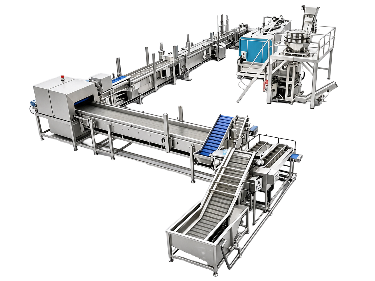 Freeze-Dried Food Production Line Layout