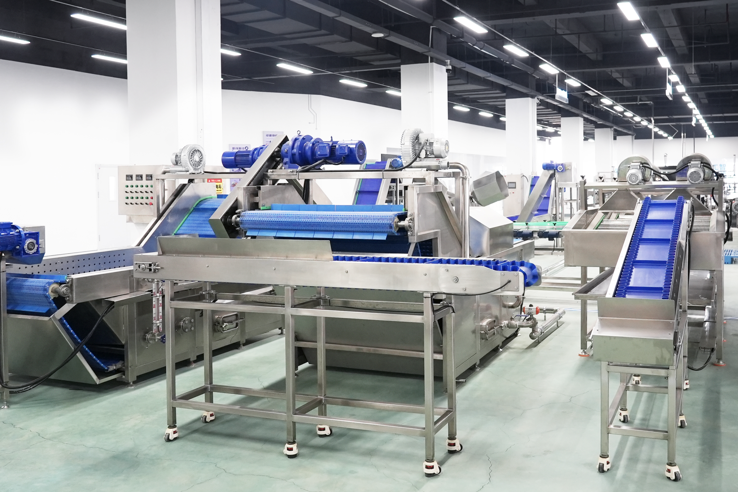 Four Fruit and Vegetable Processing Lines