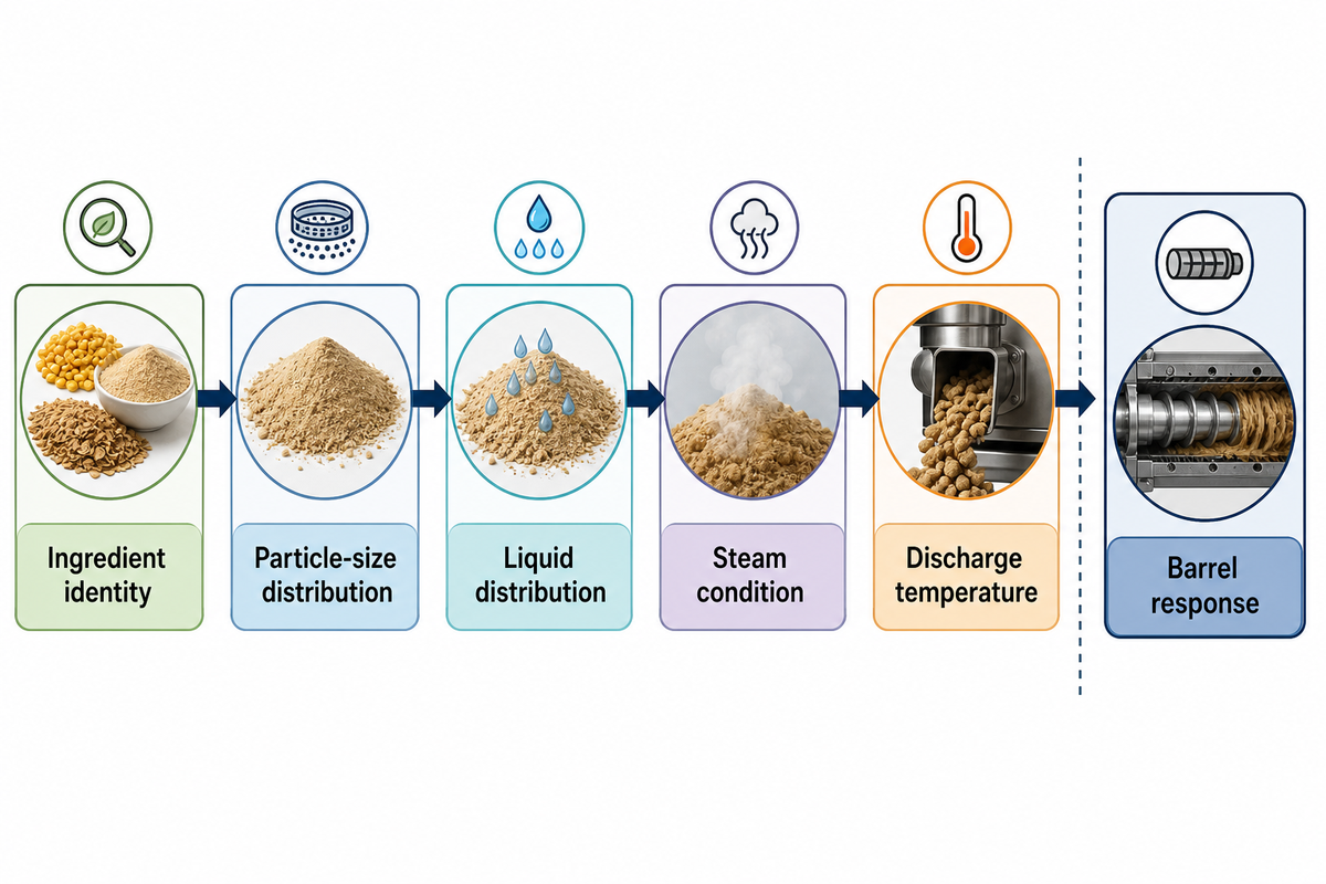 How Raw Material State and Preconditioning Set the Extrusion Process — Shengtu