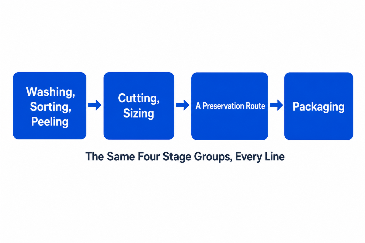What Is Fruit and Vegetable Processing? — Shengtu