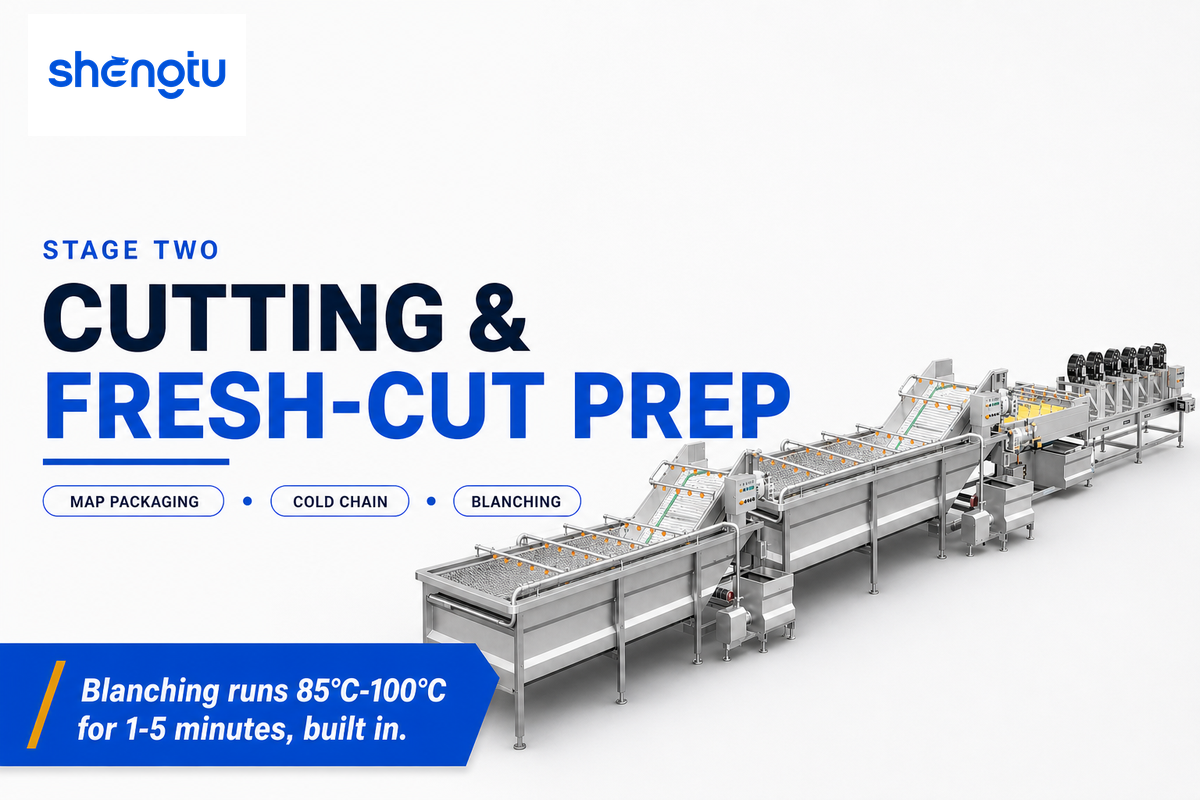 Stage Two: Cutting, Sizing and Fresh-Cut Preparation — Shengtu