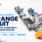 Orange Fruit: Anatomy, Varieties & Processing Routes