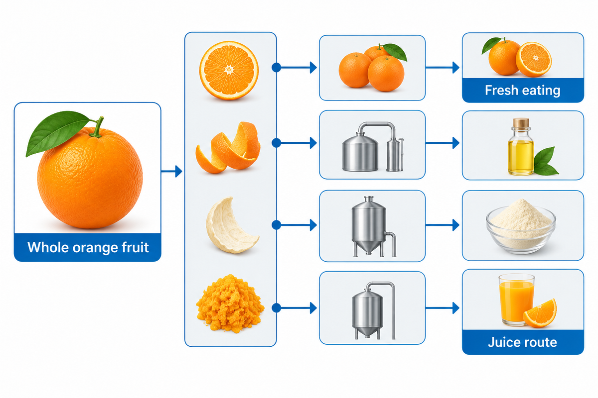 Orange fruit can route to fresh eating, juice, peel oil, pectin-oriented processing and qualified byproduct destinations.