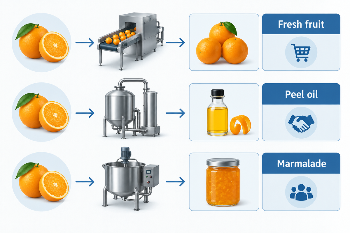 Orange route matrix separates fresh fruit, juice, peel oil, pectin-oriented processing and marmalade destinations.