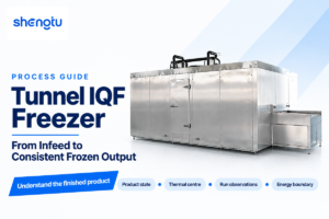 Tunnel IQF Freezer Guide: 9 Process Checks